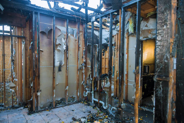 Professional Smoke Damage Removal technician working in Nottingham, MD